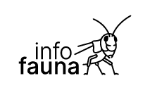 info fauna logo